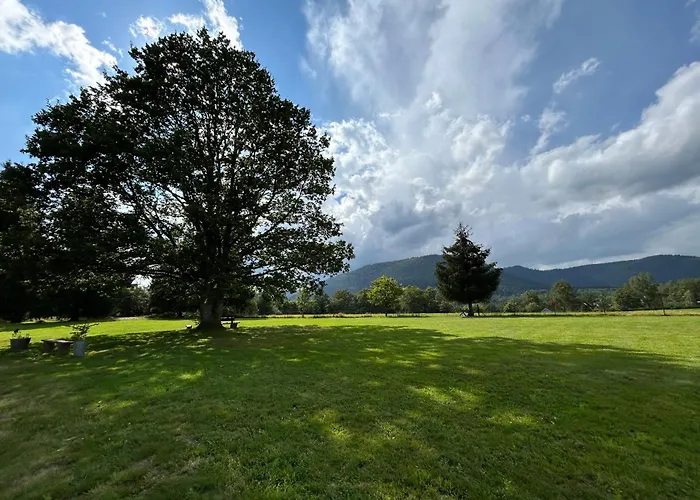 Gites Du Vieux Chene