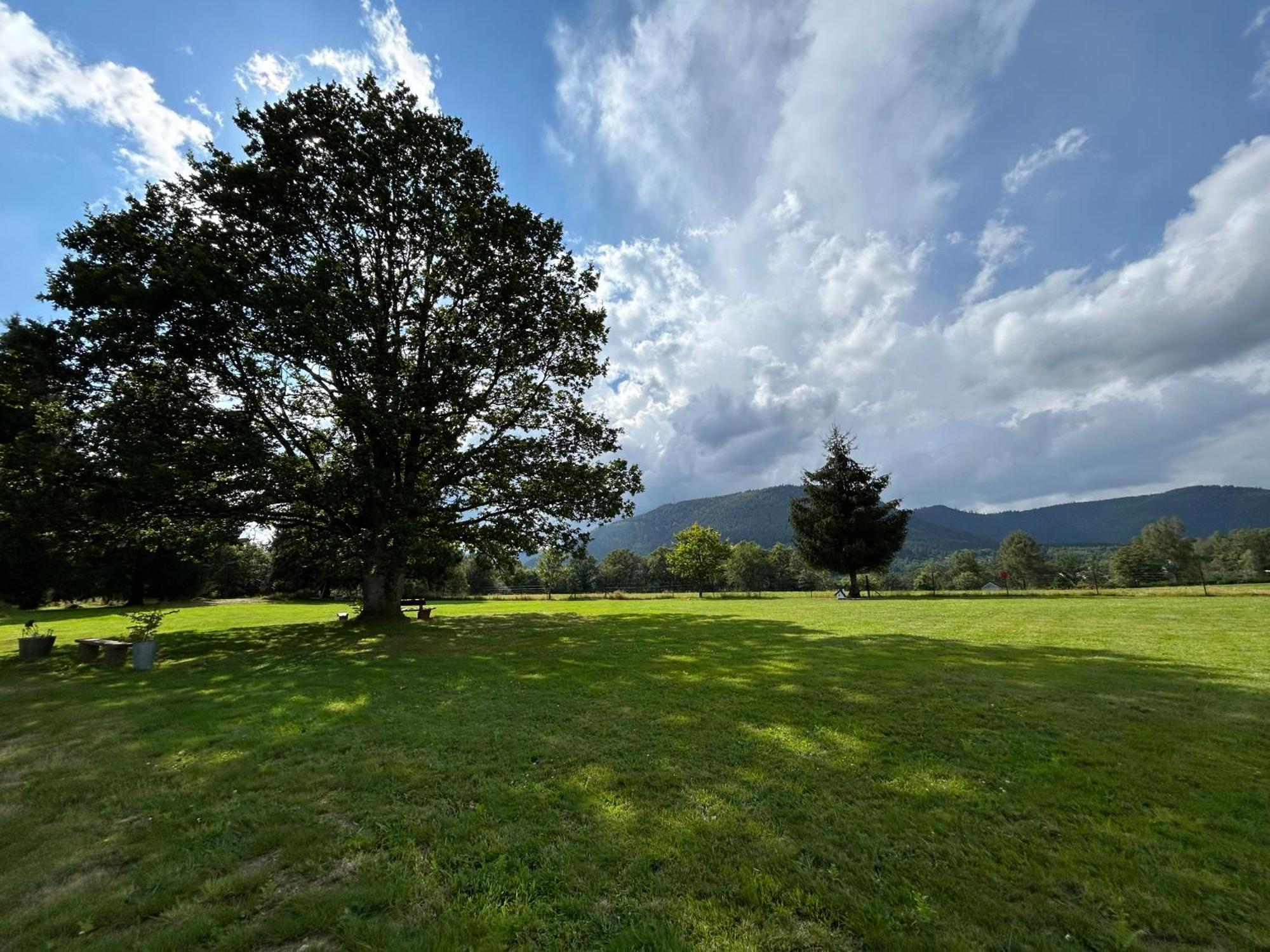 Du Vieux Chene Holiday home Plaine